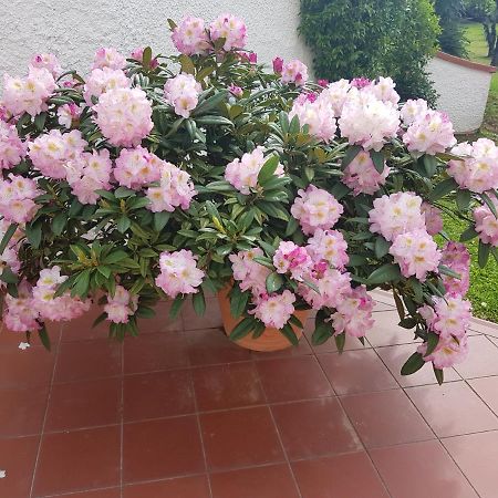 Casa Vittoria Villa Corsanico-Bargecchia Eksteriør bilde