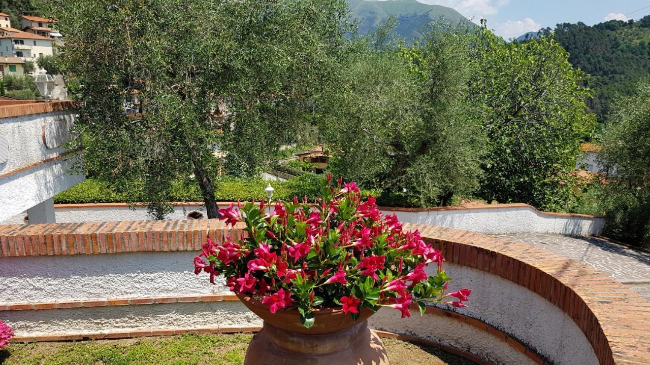 Casa Vittoria Villa Corsanico-Bargecchia Eksteriør bilde
