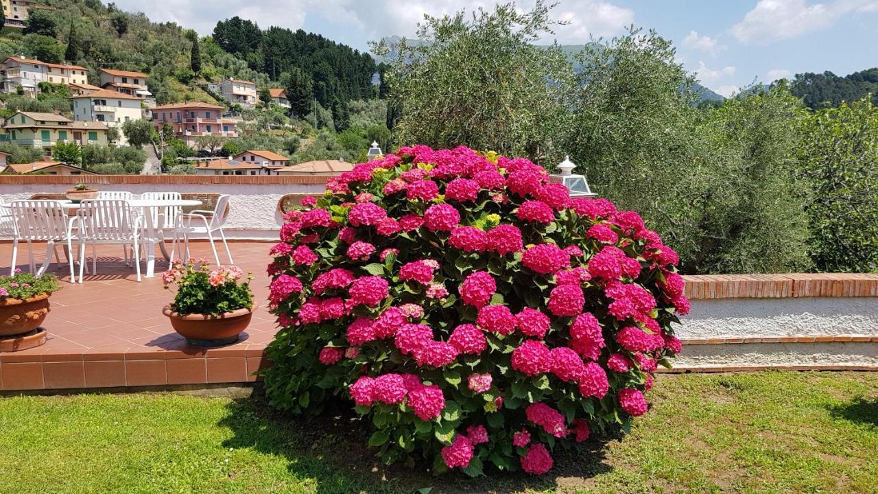 Casa Vittoria Villa Corsanico-Bargecchia Eksteriør bilde