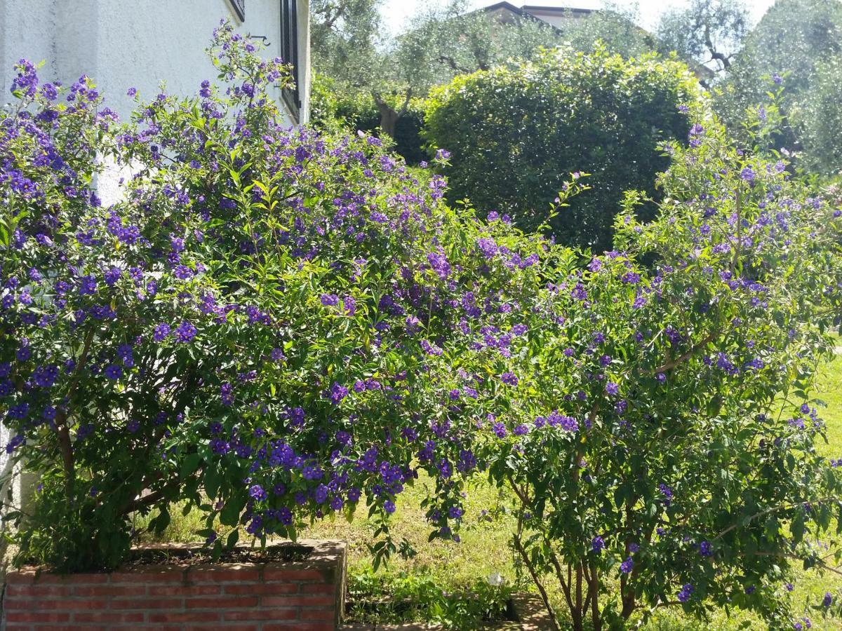 Casa Vittoria Villa Corsanico-Bargecchia Eksteriør bilde