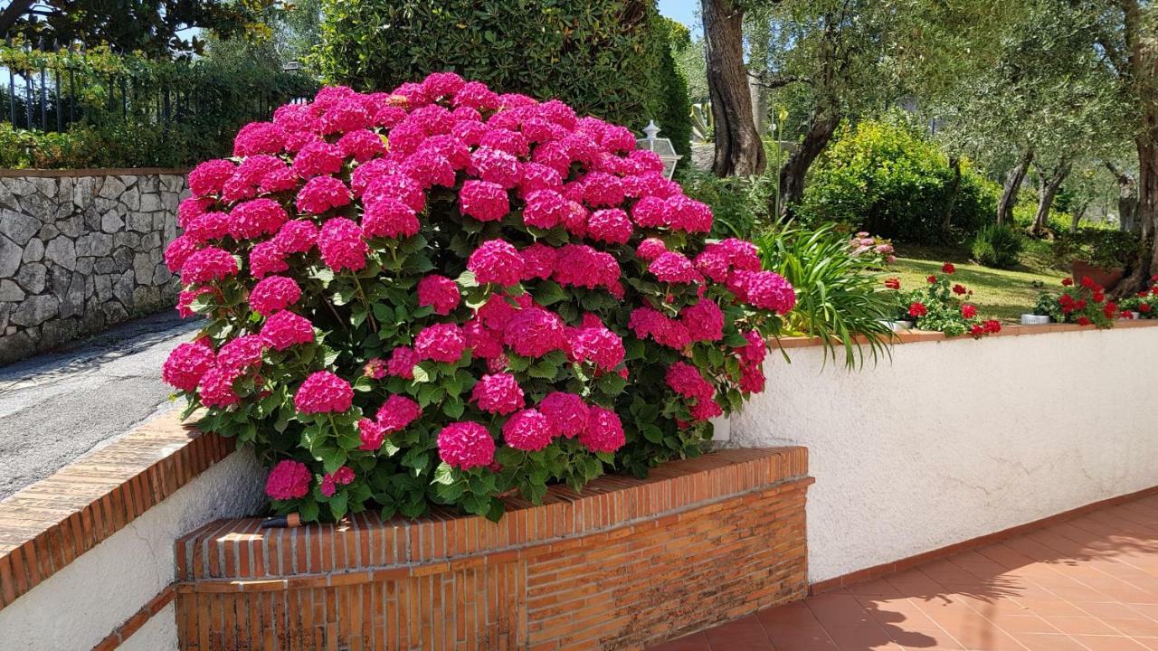 Casa Vittoria Villa Corsanico-Bargecchia Eksteriør bilde